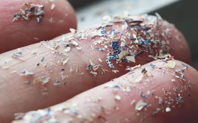 Phát hiện lượng lớn vi nhựa trong não người