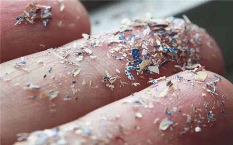 Ảnh Phát hiện lượng lớn vi nhựa trong não người