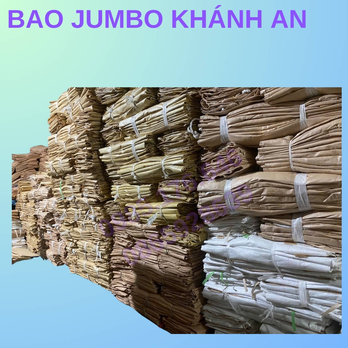 Bao jumbo đựng bắp ủ chua ở Yên Bái – Bà con đã dùng thử chưa?